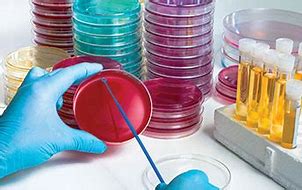 NEOGEN-太鼎食安科技